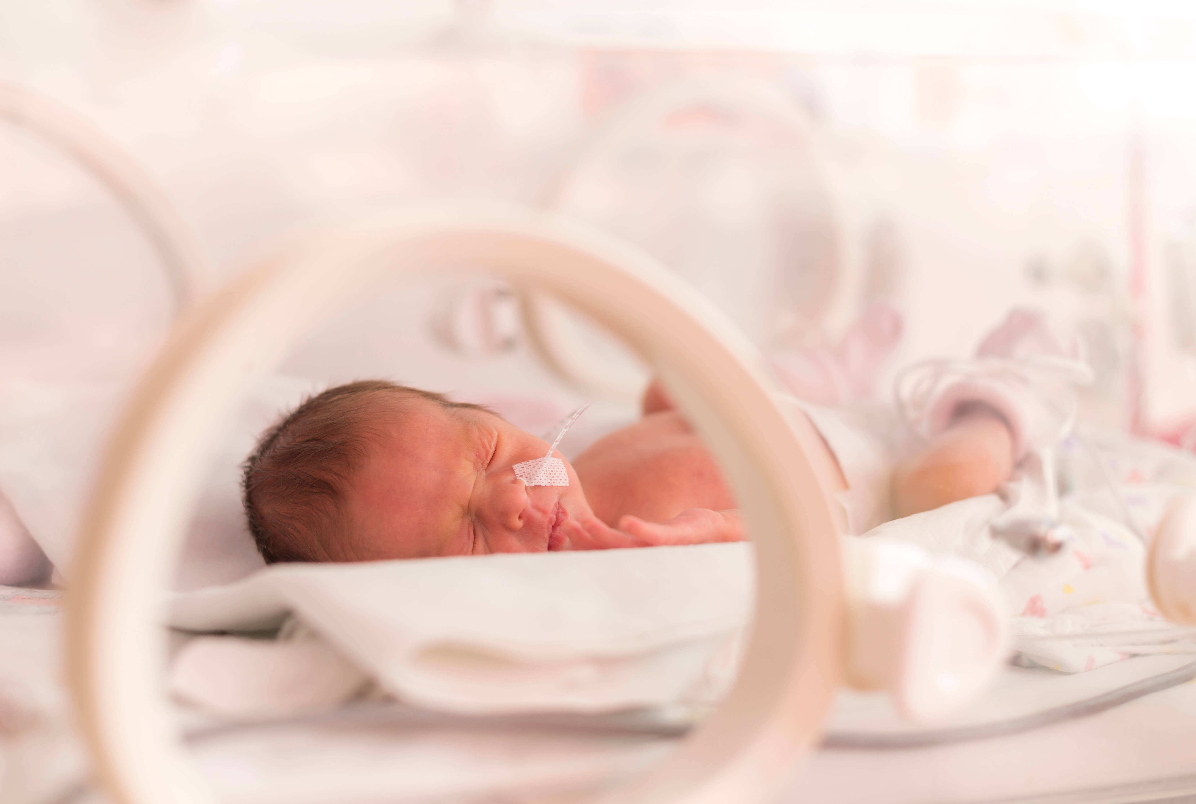 Incursion Dans Le Monde De La Prematurite Bulbille